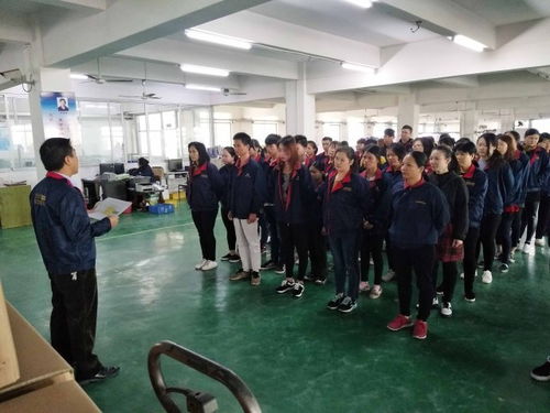 平顶山驻厂咨询案例 BG电器通过攻关提升生产效率效果显著